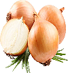 ONION