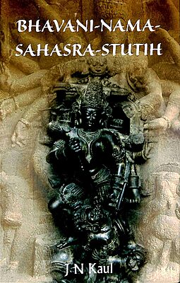 Bhavani Nama Sahasra Stutih