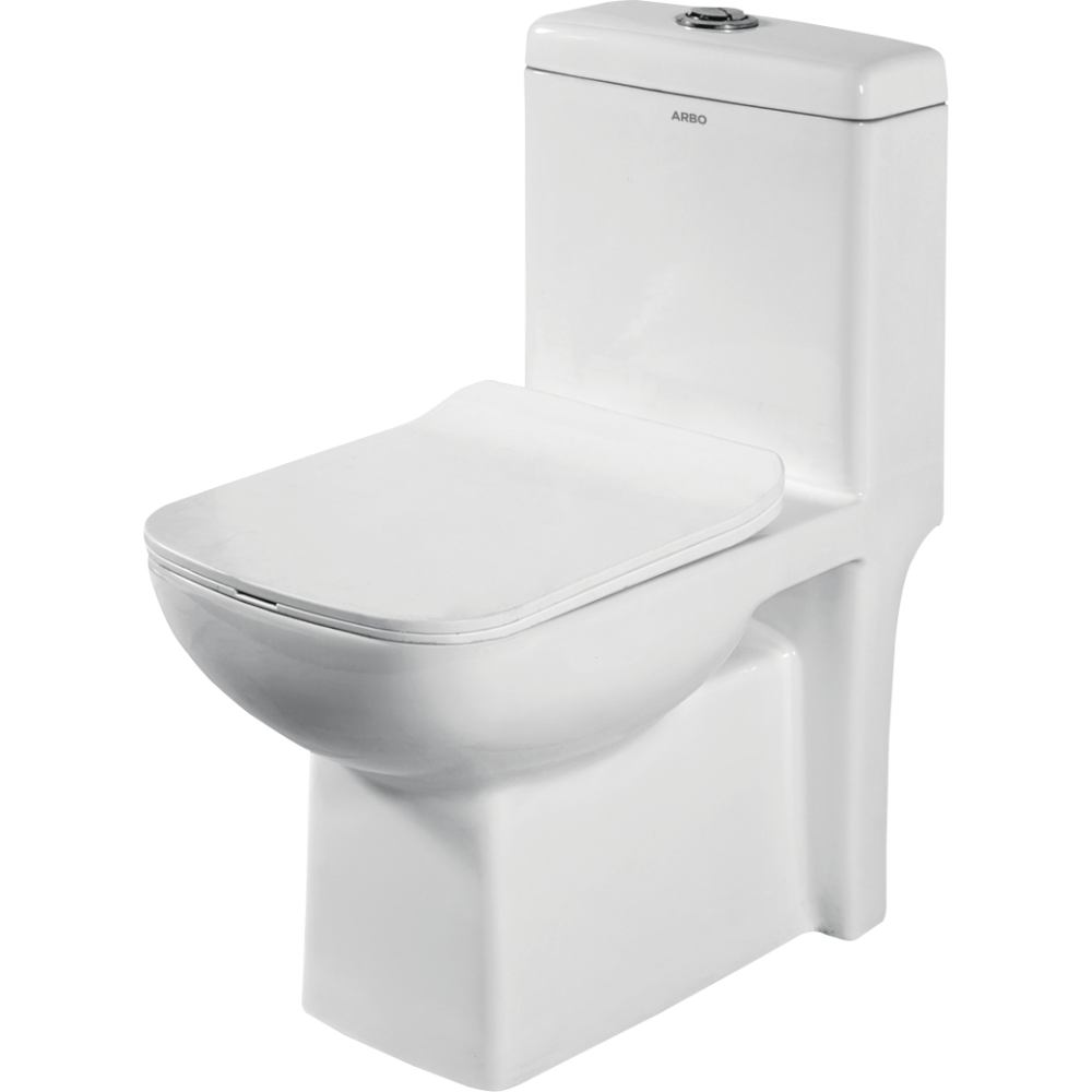 Inox Washdown One Piece Closet With Soft Close Seat Cover, Hinges, Fixing Accessories Set and Accessories Set, Cistern Fittings