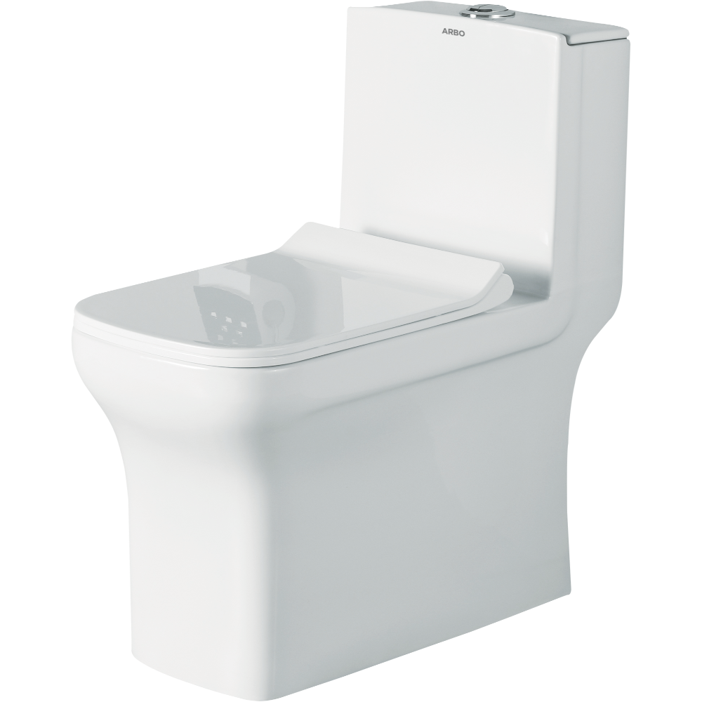 Neo Washdown One Piece Closet With Soft Close Seat Cover With Hinges, Fixing Accessories Set and Accessories Set, Cistern Fittings