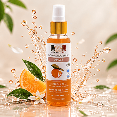 BWB ORANGE_DEOSPRAY BWB ORANGE_DEOSPRAY