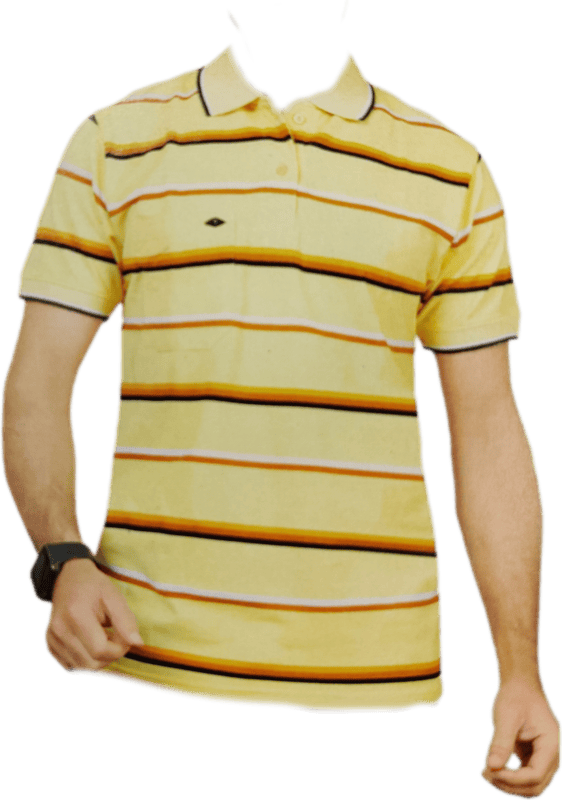 Polo Stripes Tshirt