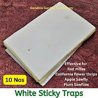 10 Nos pack of White Sticky Trap for Insects A4 size (210*297)