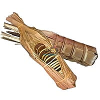 Original Good Quality Ole Bella | Traditional Palm Jaggery from Mangalore