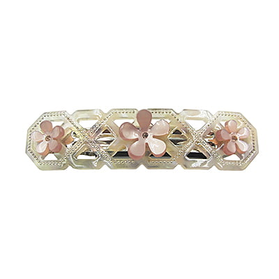Elegant French Barrettes