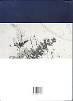 One Burning Love (Deluxe) - A Pictorial Biography of Sister Nivedita