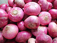 Farm-fresh—onions