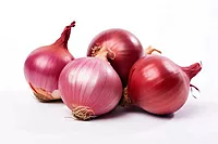 Onion ఉల్లిగడ్డ