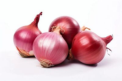Onion ఉల్లిగడ్డ