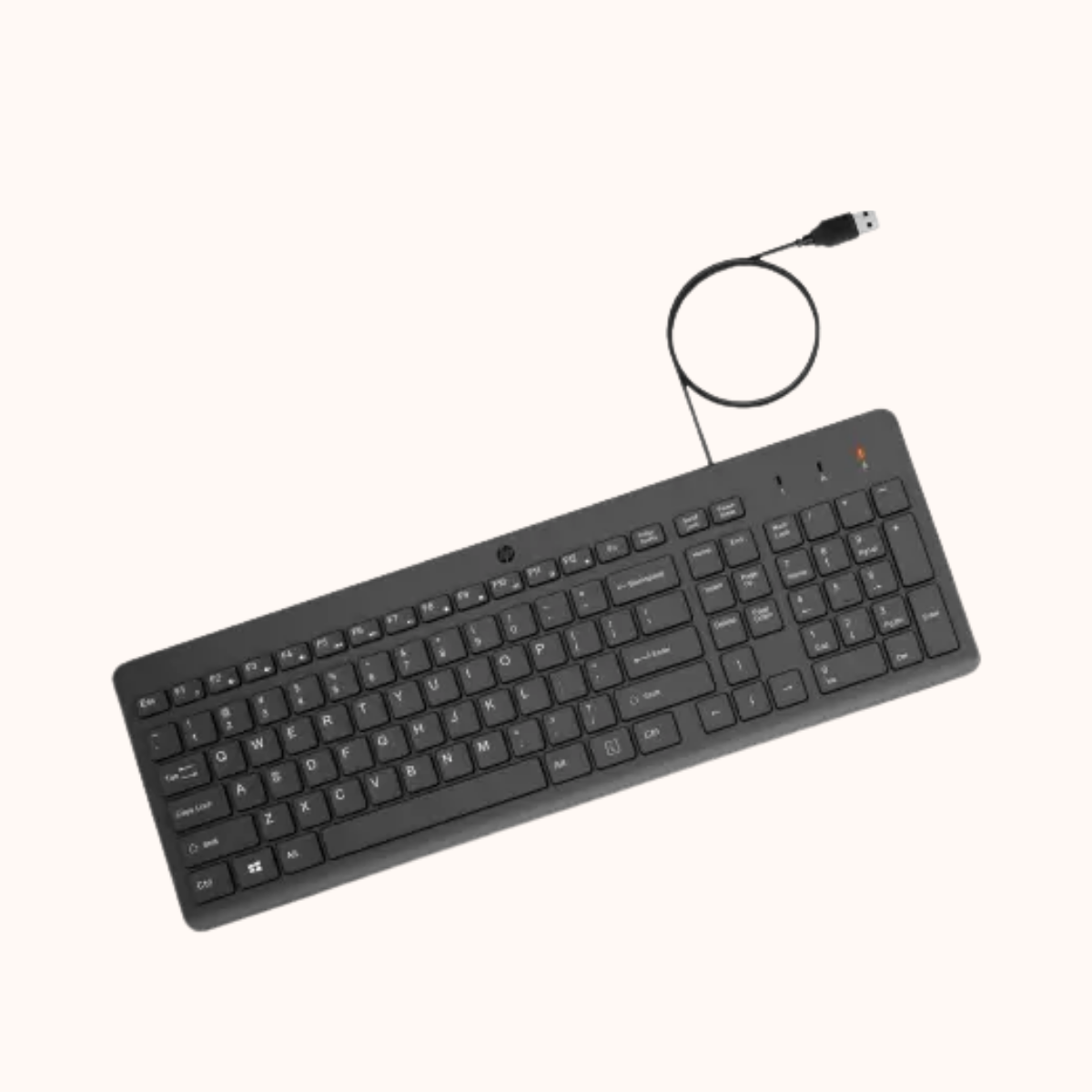 Open Box HP 150 Wired USB Desktop Keyboard  (Black)