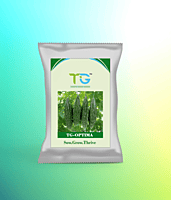 Hybrid Bitter Gourd TG-Optima