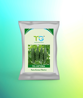 Hybrid Bitter Gourd TG-Optima