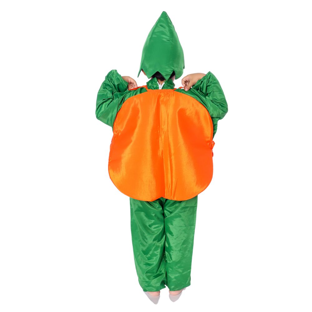 Orange Fancy Dress Costume Orange Fancy Dress Costume