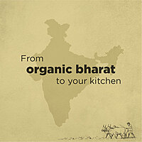 Organic Apple Cider Vinegar (with mother )