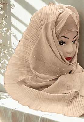 Zera Premium Malaysian Georgette Shimmer Border Embellished Stone and Frill