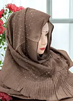 Zera Premium Malaysian Georgette Shimmer Border Embellished Stone and Frill