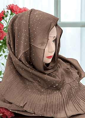 Zera Premium Malaysian Georgette Shimmer Border Embellished Stone and Frill