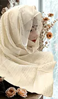 Zera Premium Malaysian Georgette Shimmer Border Embellished Stone and Frill
