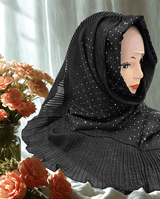 Zera Premium Malaysian Georgette Shimmer Border Embellished Stone and Frill