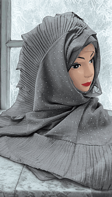 Zera Premium Malaysian Georgette Shimmer Border Embellished Stone and Frill