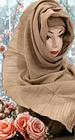 Zera Premium Malaysian Georgette Shimmer Border Embellished Stone and Frill