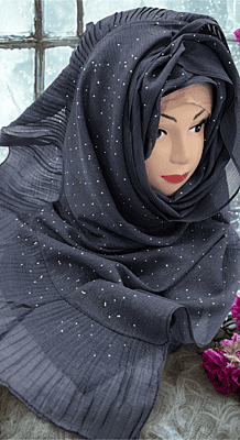 Zera Premium Malaysian Georgette Shimmer Border Embellished Stone and Frill