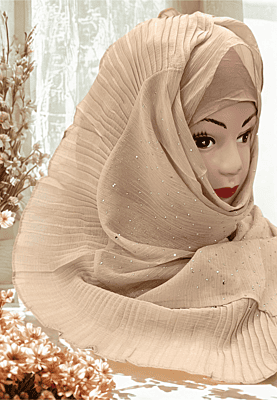 Zera Premium Malaysian Georgette Shimmer Border Embellished Stone and Frill