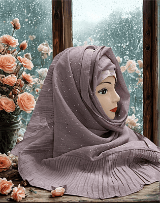 Zera Premium Malaysian Georgette Shimmer Border Embellished Stone and Frill