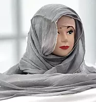 Zera Premium Organza Shimmer Hijab with Rhinestone Border