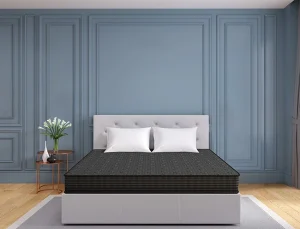 Centuary ORTHOACTIVE|78X36X6|||Coir Mattress