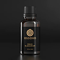 Ossoro – English Blackcurrant Flavour (WS)