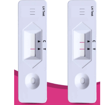 Ovulation Predictor Kit