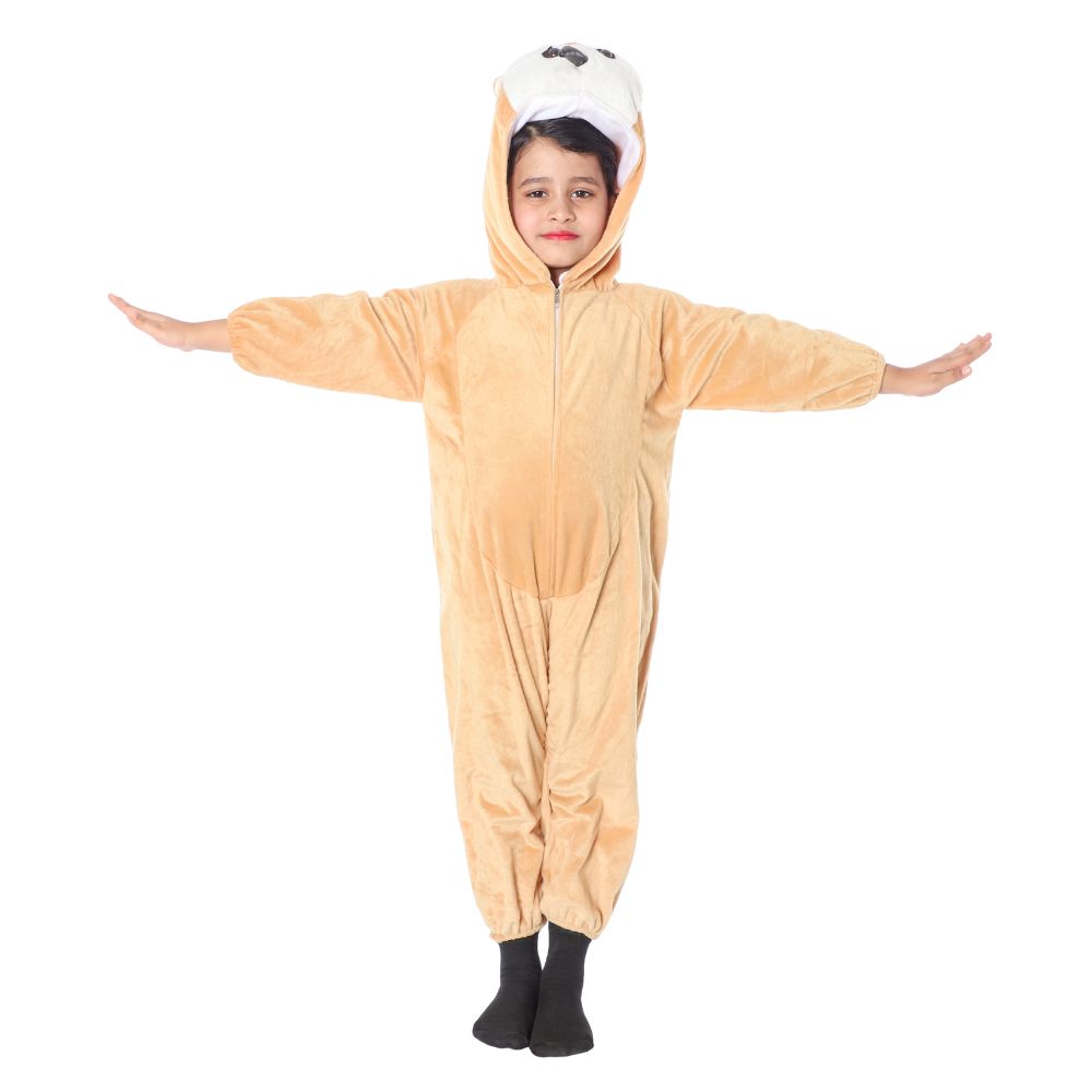 Owl Bird Fancy Dress Costume