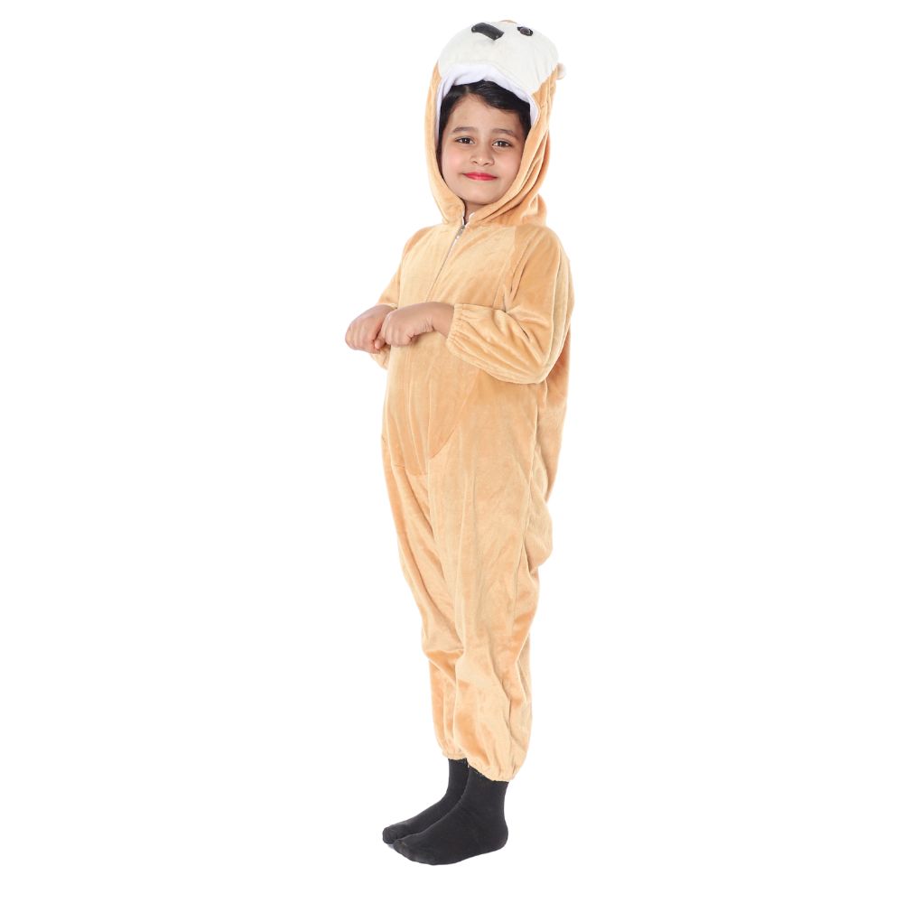 Owl Bird Fancy Dress Costume Owl Bird Fancy Dress Costume