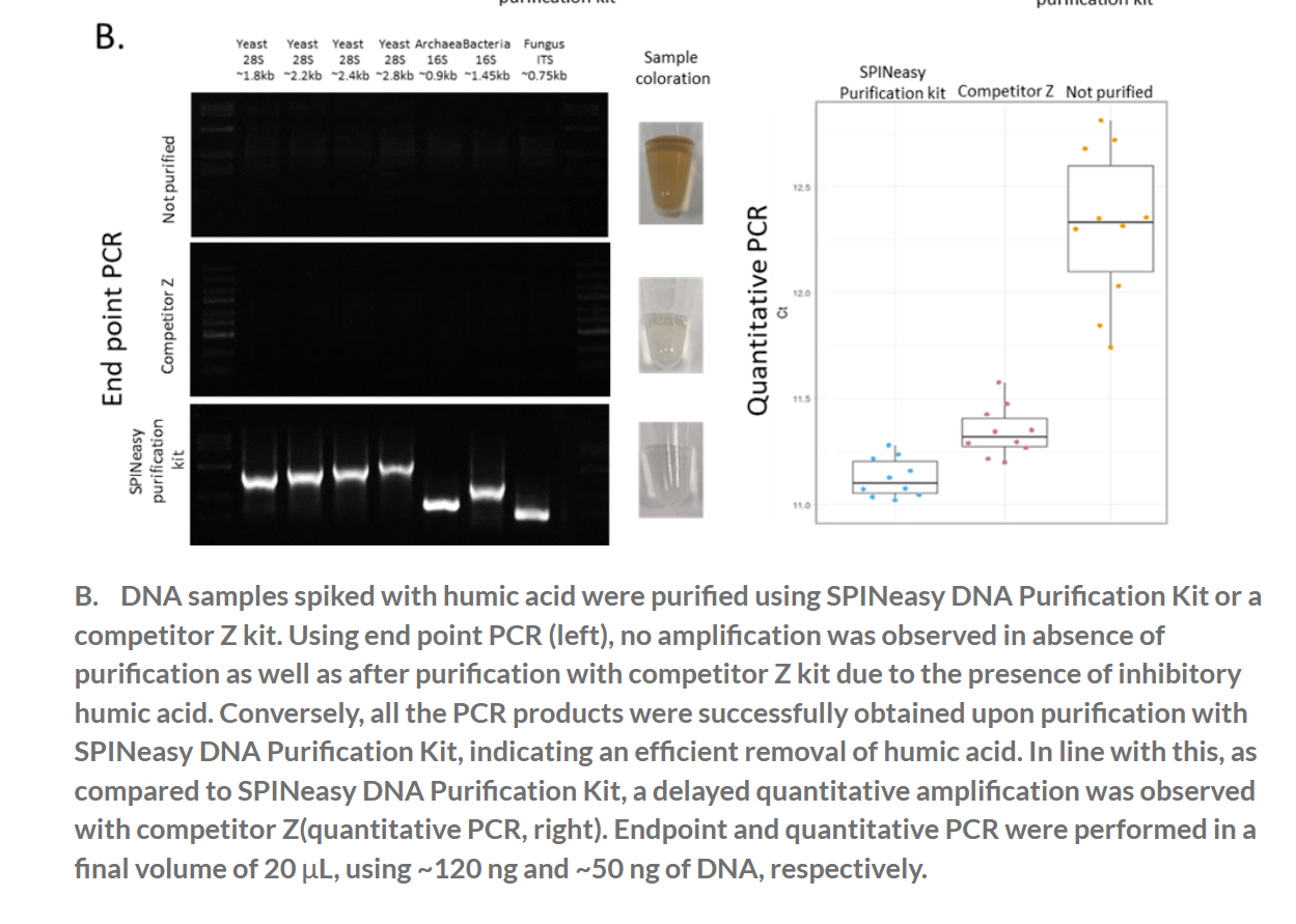 SPINeasy® DNA Purification Kit 50preps MP