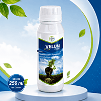 Velum Prime SC 400 Nematicide | Fungicide | Bayer Crop Science | Vetrivel Agro Services