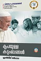 കൃപയുള്ള കുടുംബങ്ങള്‍ - തിരുസഭാപ്രബോധനങ്ങള്‍ 13