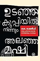ഉടഞ്ഞ കുപ്പിയിൽനിന്നും അലഞ്ഞ മഷി