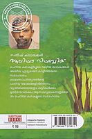 ആലിപ്പഴ റിപ്പബ്ലിക്