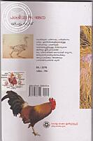 പക്ഷിയുടെ ഘടന