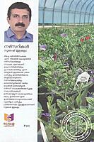 നഴ്സറികള്‍