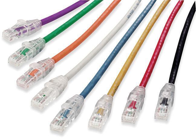 Molex Cat 6 Patch Cord UTP 2 Meter - Blue LSZH