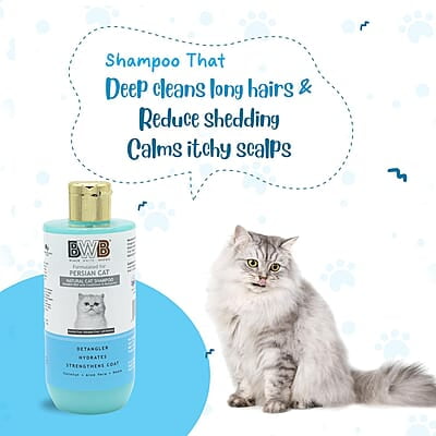 BWB PERSIAN CAT SHAMPOO_250ML
