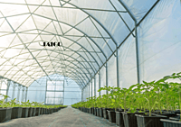 Jaico Polyhouse Constructions_AS-PH