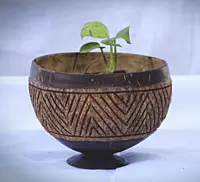 Planters