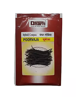 Cowpea Poorvaja Seeds by Dharti Seeds