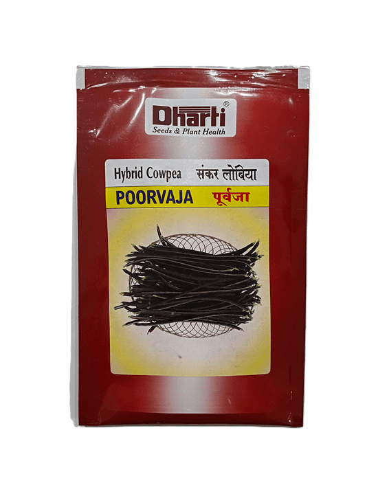 Cowpea Poorvaja Seeds by Dharti Seeds