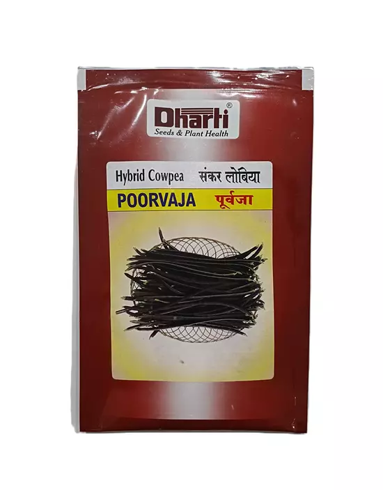 Cowpea Poorvaja Seeds by Dharti Seeds