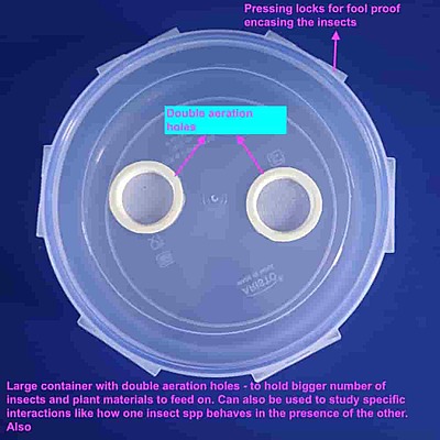 Insect Rearing Container Large 3lit with Double Aeration Holes and Secure Locking Lid