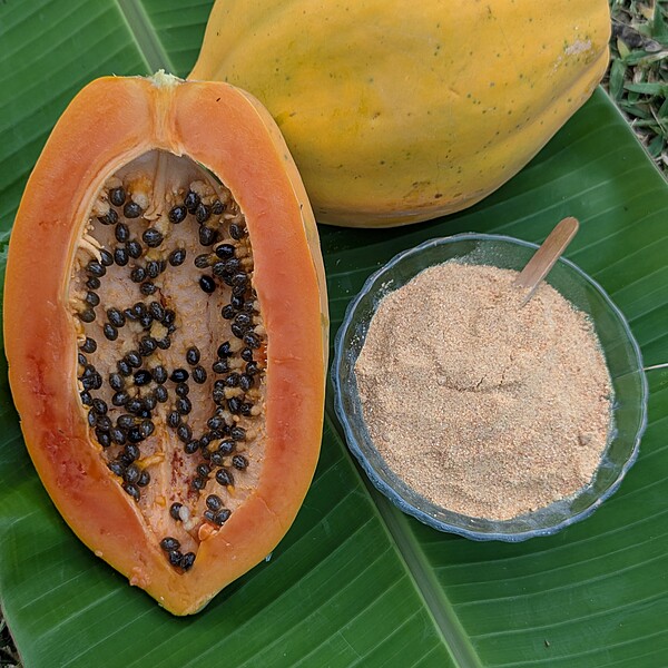 Papaya Powder